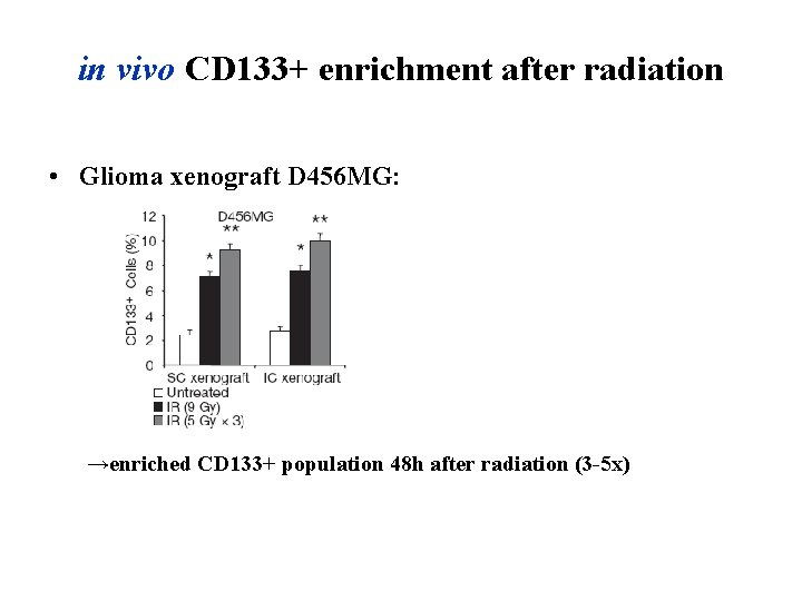 in vivo CD 133+ enrichment after radiation • Glioma xenograft D 456 MG: →enriched