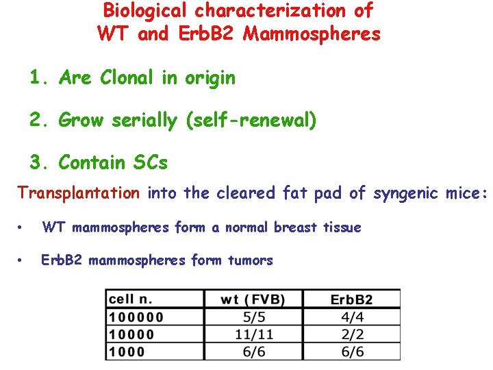 Biological characterization of WT and Erb. B 2 Mammospheres 1. Are Clonal in origin