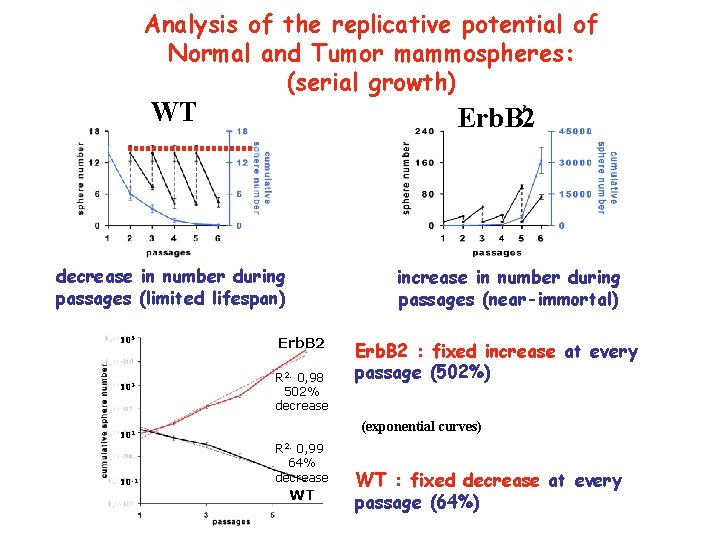 Analysis of the replicative potential of Normal and Tumor mammospheres: (serial growth) WT Erb.