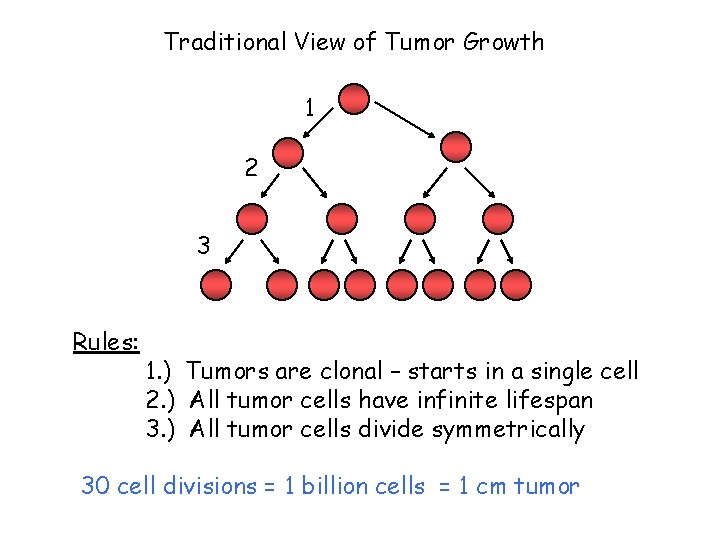 Traditional View of Tumor Growth 1 2 3 Rules: 1. ) Tumors are clonal