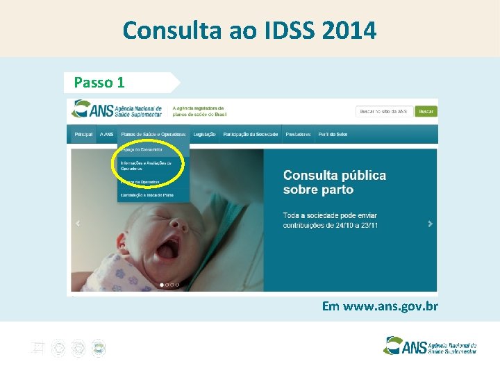 Consulta ao IDSS 2014 Passo 1 Em www. ans. gov. br 