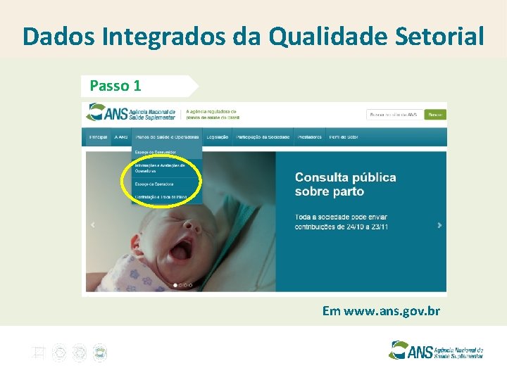 Dados Integrados da Qualidade Setorial Passo 1 Em www. ans. gov. br 