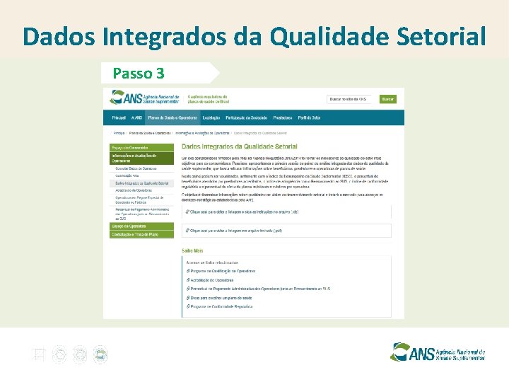 Dados Integrados da Qualidade Setorial Passo 3 