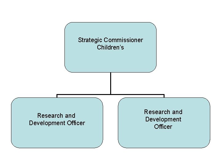 Strategic Commissioner Children’s Research and Development Officer 