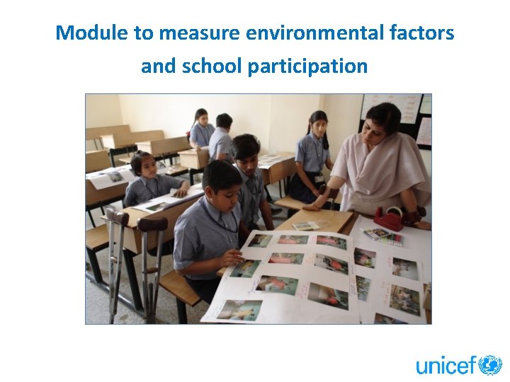 Module to measure environmental factors and school participation 