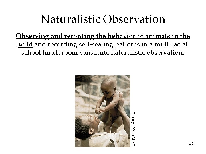 Naturalistic Observation Observing and recording the behavior of animals in the wild and recording