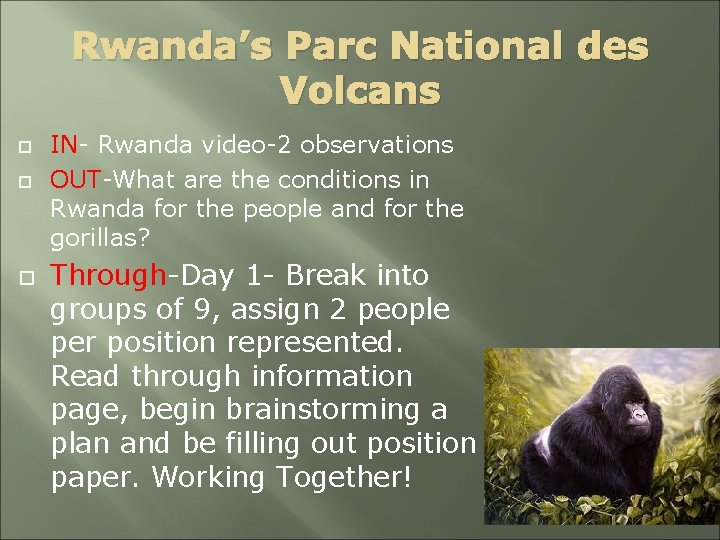 Rwanda’s Parc National des Volcans IN- Rwanda video-2 observations OUT-What are the conditions in