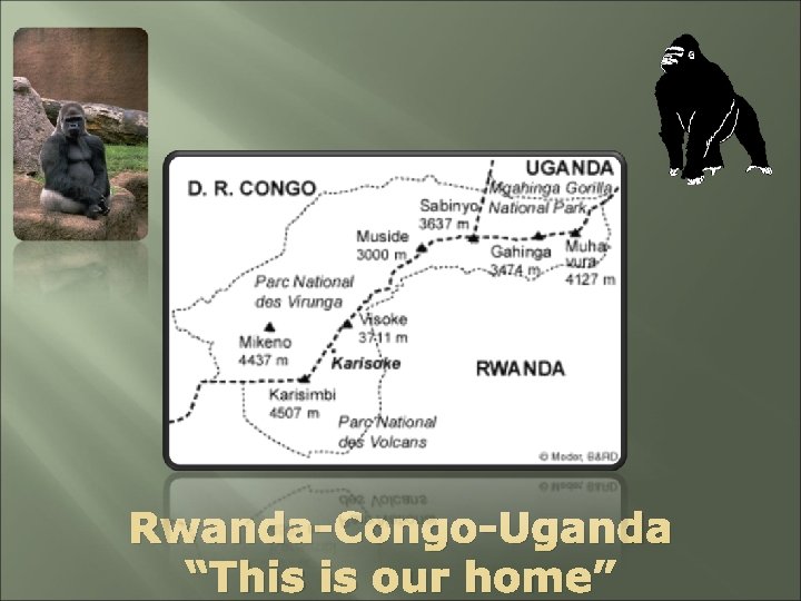 Rwanda-Congo-Uganda “This is our home” 
