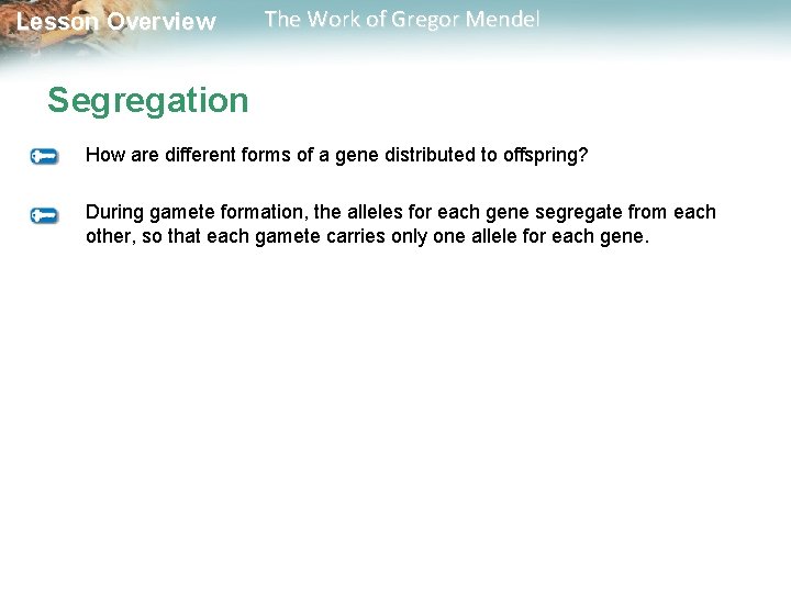 Lesson Overview The Work of Gregor Mendel Segregation How are different forms of a