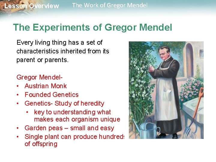 Lesson Overview The Work of Gregor Mendel The Experiments of Gregor Mendel Every living