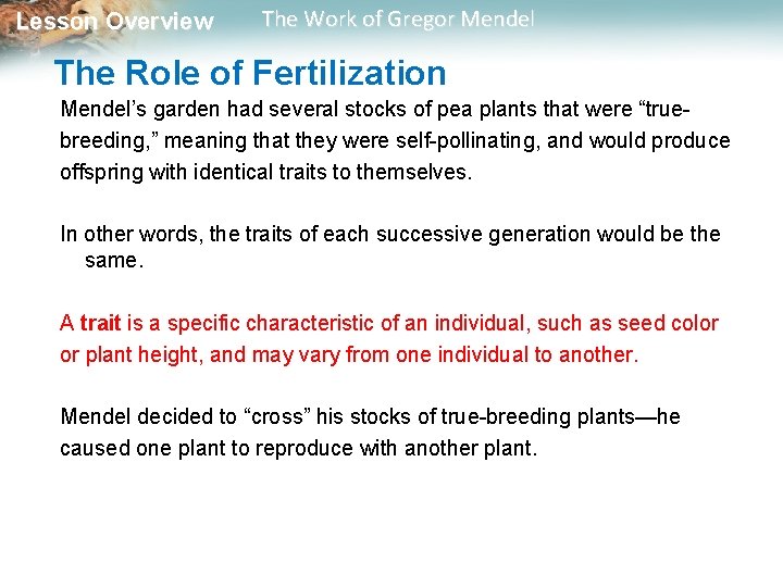 Lesson Overview The Work of Gregor Mendel The Role of Fertilization Mendel’s garden had