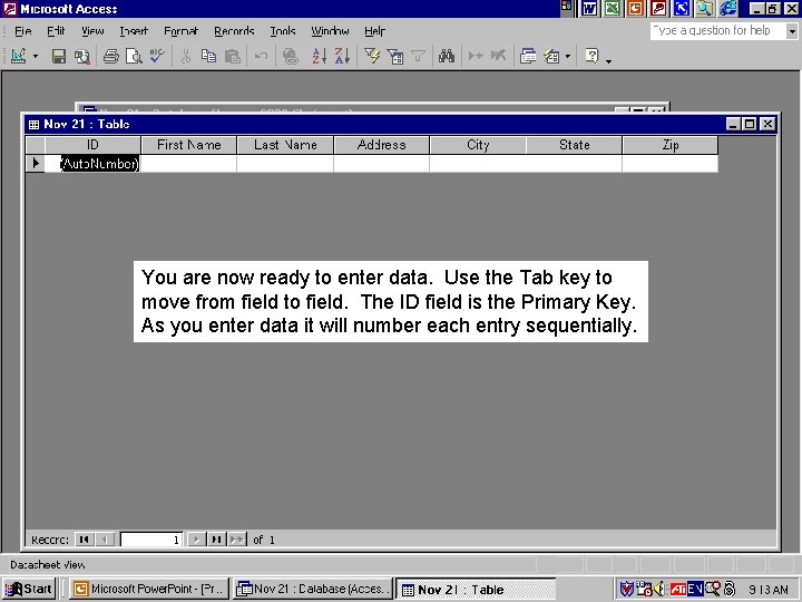 You are now ready to enter data. Use the Tab key to move from