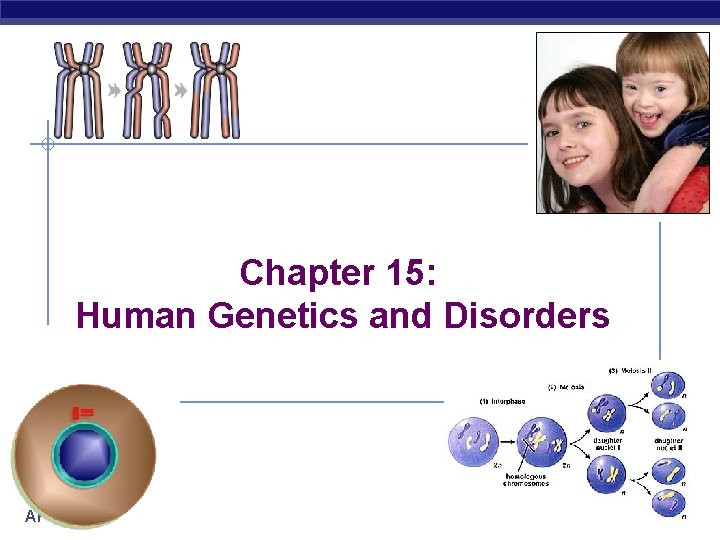Chapter 15: Human Genetics and Disorders AP Biology 2006 -2007 