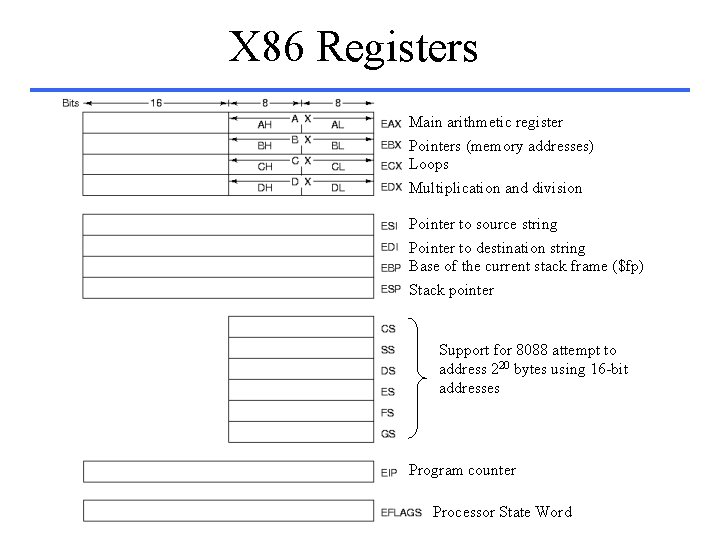 X 86 Registers Main arithmetic register Pointers (memory addresses) Loops Multiplication and division Pointer