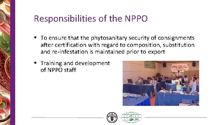 Responsibilities of the NPPO § To ensure that the phytosanitary security of consignments after Responsibilities of the NPPO § To ensure that the phytosanitary security of consignments after