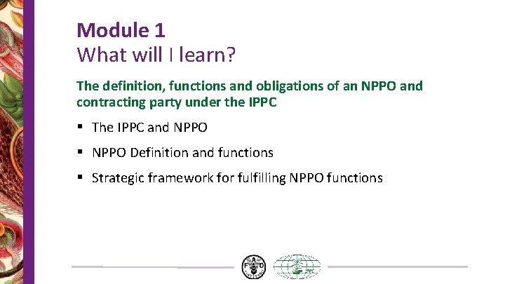 Module 1 What will I learn? The definition, functions and obligations of an NPPO Module 1 What will I learn? The definition, functions and obligations of an NPPO