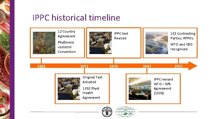 IPPC historical timeline 12 Country Agreement IPPC text Revised Phylloxera vastatrix Convention 1881 182 IPPC historical timeline 12 Country Agreement IPPC text Revised Phylloxera vastatrix Convention 1881 182