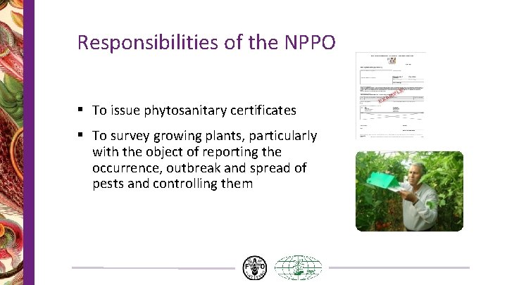 Responsibilities of the NPPO § To issue phytosanitary certificates § To survey growing plants, Responsibilities of the NPPO § To issue phytosanitary certificates § To survey growing plants,