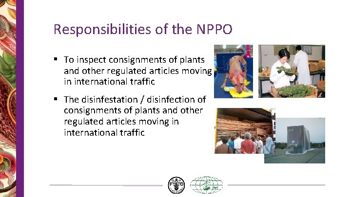 Responsibilities of the NPPO § To inspect consignments of plants and other regulated articles Responsibilities of the NPPO § To inspect consignments of plants and other regulated articles