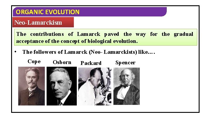 ORGANIC EVOLUTION Neo-Lamarckism The contributions of Lamarck paved the way for the gradual acceptance