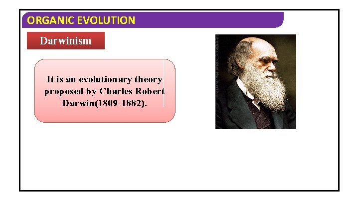 ORGANIC EVOLUTION Darwinism It is an evolutionary theory proposed by Charles Robert Darwin(1809 -1882).