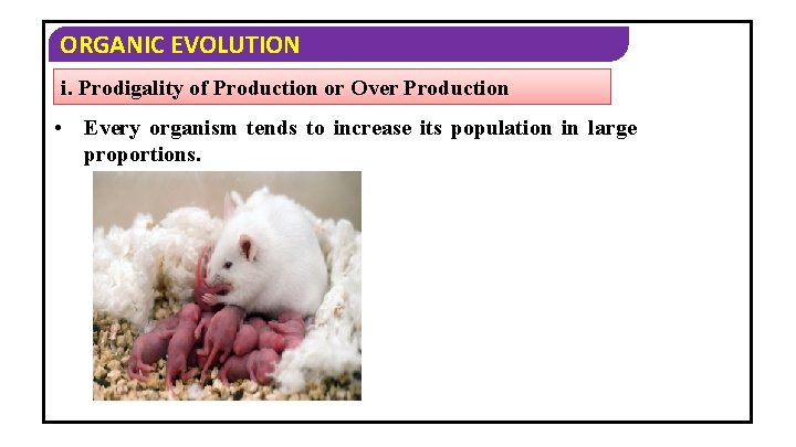 ORGANIC EVOLUTION i. Prodigality of Production or Over Production • Every organism tends to