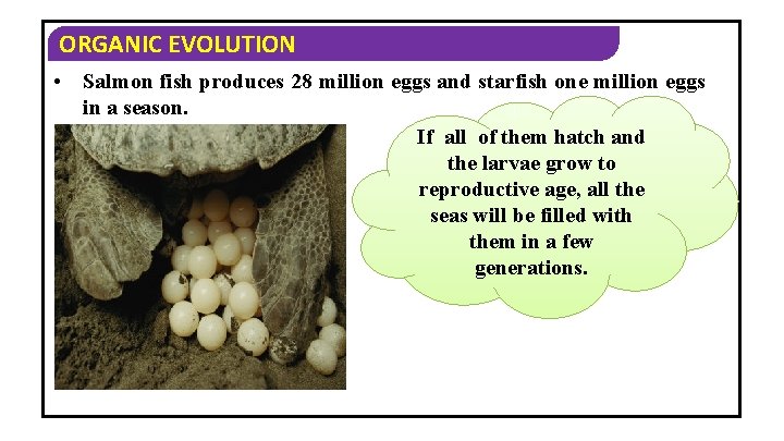 ORGANIC EVOLUTION • Salmon fish produces 28 million eggs and starfish one million eggs