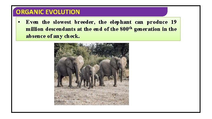 ORGANIC EVOLUTION • Even the slowest breeder, the elephant can produce 19 million descendants