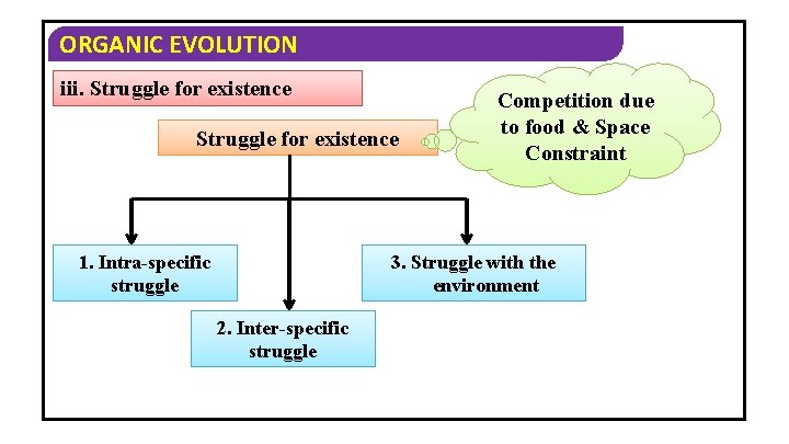 ORGANIC EVOLUTION iii. Struggle for existence 1. Intra-specific struggle Competition due to food &