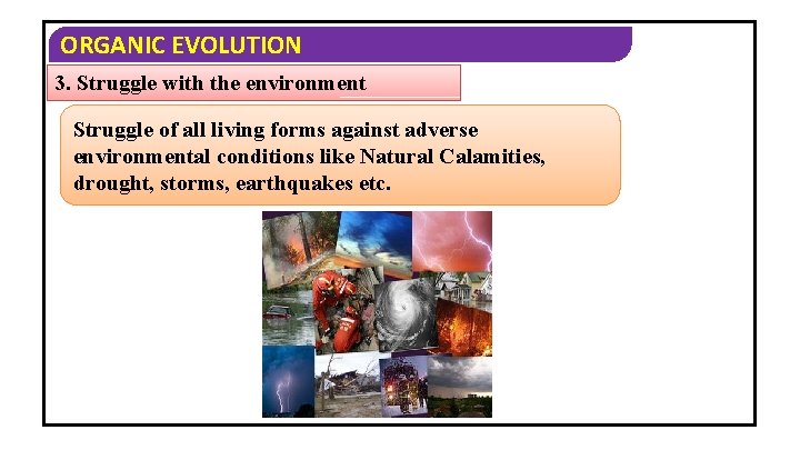 ORGANIC EVOLUTION 3. Struggle with the environment Struggle of all living forms against adverse