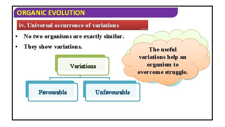 ORGANIC EVOLUTION iv. Universal occurrence of variations • No two organisms are exactly similar.