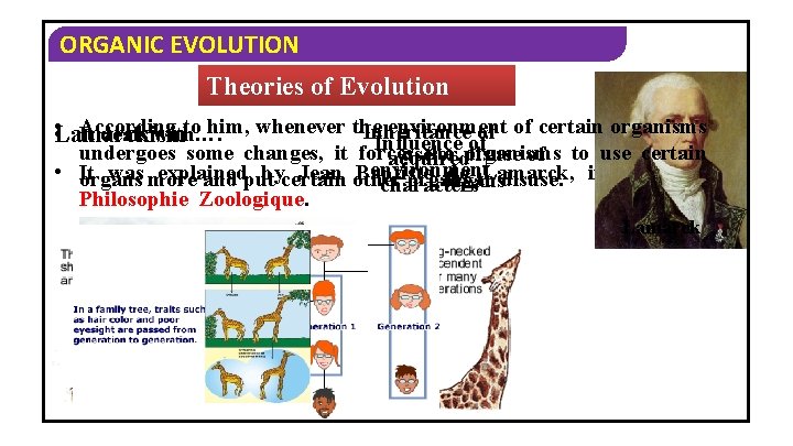 ORGANIC EVOLUTION Theories of Evolution • • According to him, whenever the environment of