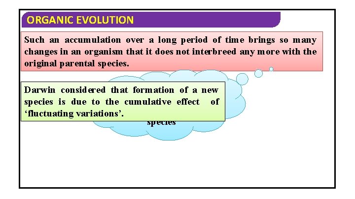 ORGANIC EVOLUTION Such an accumulation over a long period of time brings so many