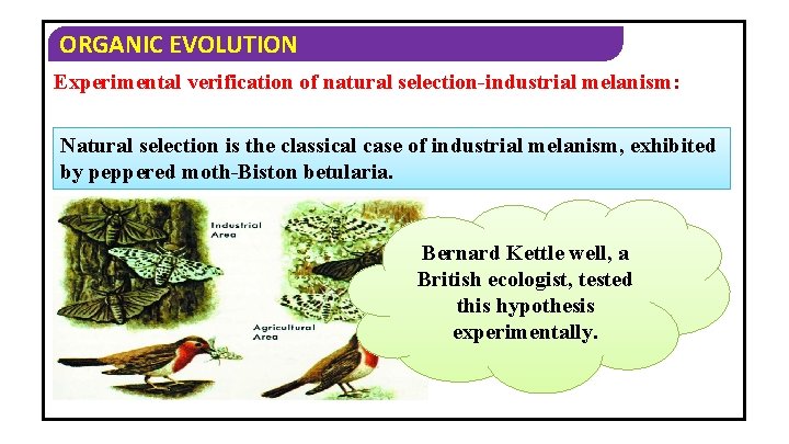 ORGANIC EVOLUTION Experimental verification of natural selection-industrial melanism: Natural selection is the classical case