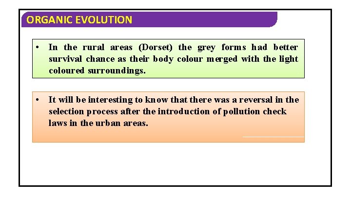 ORGANIC EVOLUTION • In the rural areas (Dorset) the grey forms had better survival