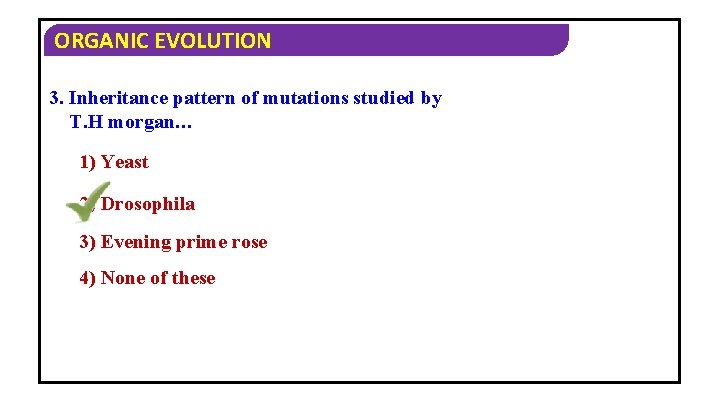 ORGANIC EVOLUTION 3. Inheritance pattern of mutations studied by T. H morgan… 1) Yeast