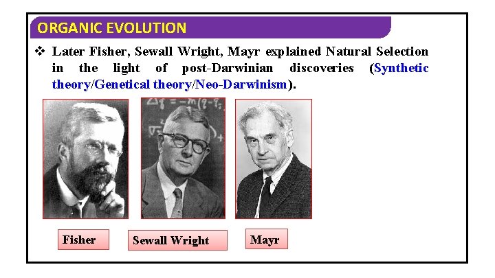 ORGANIC EVOLUTION v Later Fisher, Sewall Wright, Mayr explained Natural Selection in the light