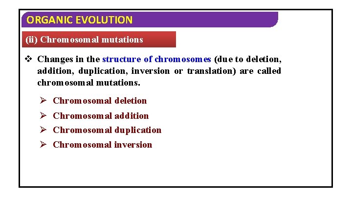 ORGANIC EVOLUTION (ii) Chromosomal mutations v Changes in the structure of chromosomes (due to