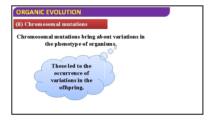 ORGANIC EVOLUTION (ii) Chromosomal mutations bring about variations in the phenotype of organisms. These