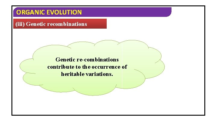 ORGANIC EVOLUTION (iii) Genetic recombinations Genetic re-combinations contribute to the occurrence of heritable variations.