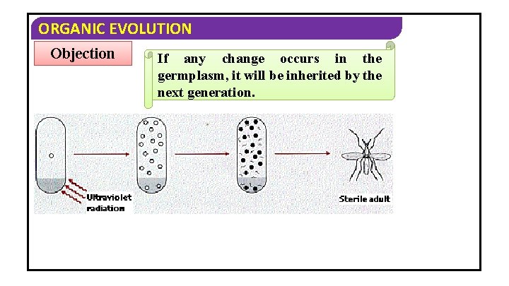 ORGANIC EVOLUTION Objection If any change occurs in the germplasm, it will be inherited