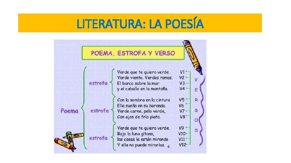 LITERATURA: LA POESÍA 