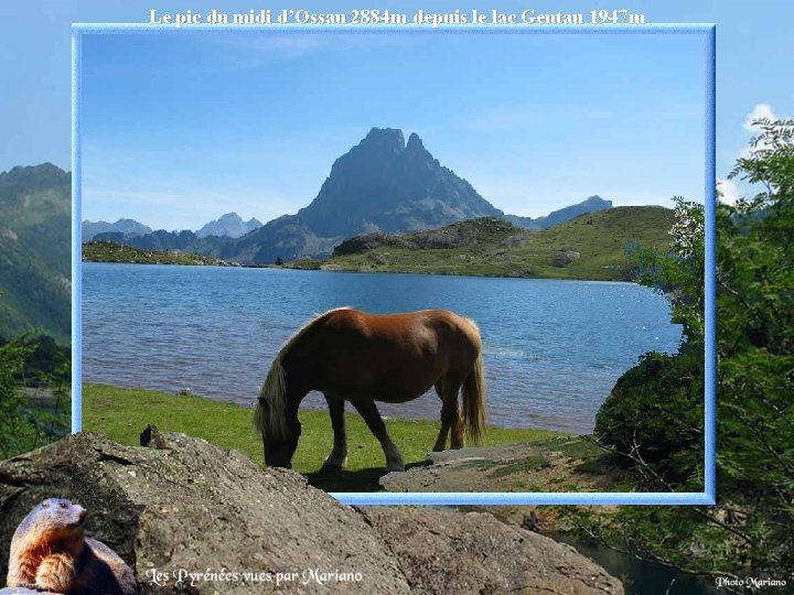 Le pic du midi d’Ossau 2884 m depuis le lac Gentau 1947 m .