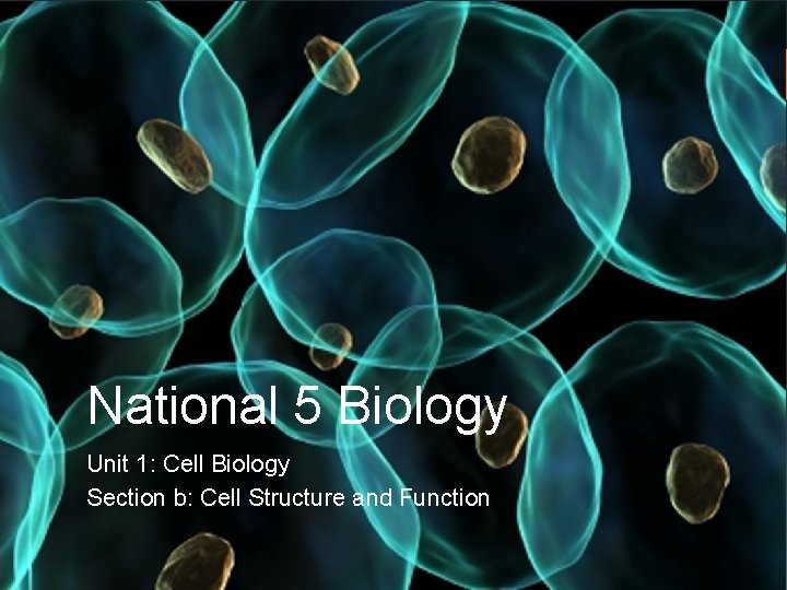 National 5 Biology Unit 1: Cell Biology Section b: Cell Structure and Function 