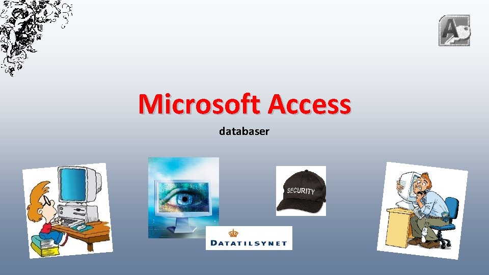 Microsoft Access databaser 