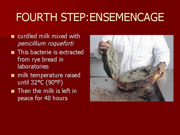FOURTH STEP: ENSEMENCAGE n curdled milk mixed with penicillium roqueforti This bacterie is extracted