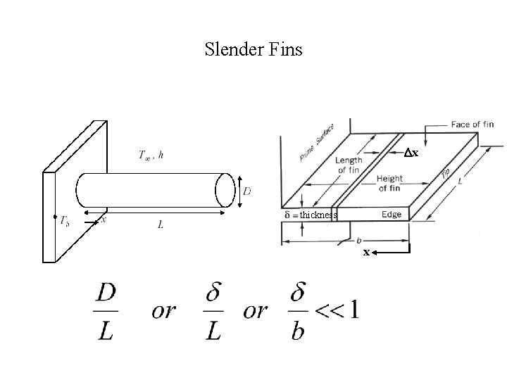 Slender Fins Dx thickness x 