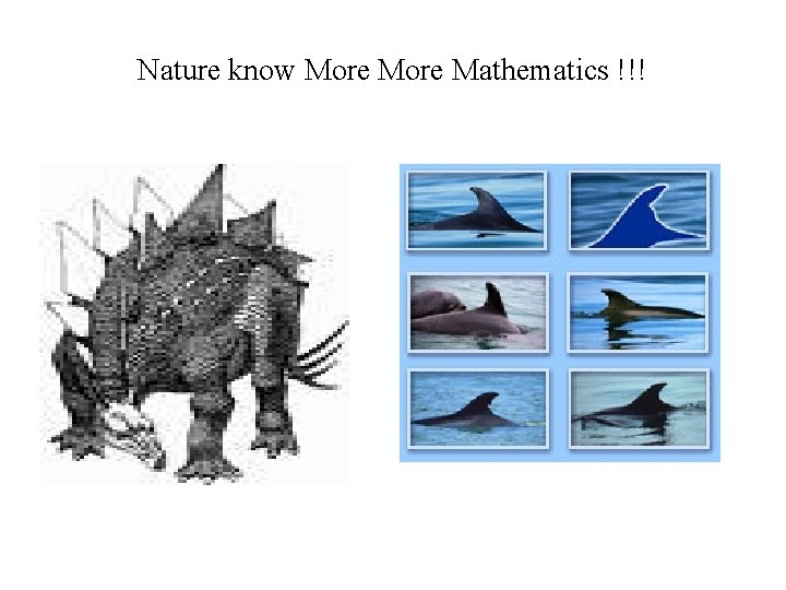 Nature know More Mathematics !!! 