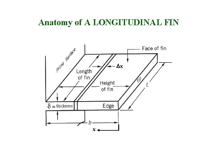 Anatomy of A LONGITUDINAL FIN Dx thickness x 