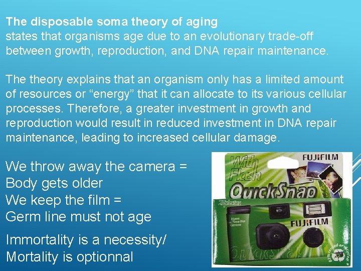 The disposable soma theory of aging states that organisms age due to an evolutionary
